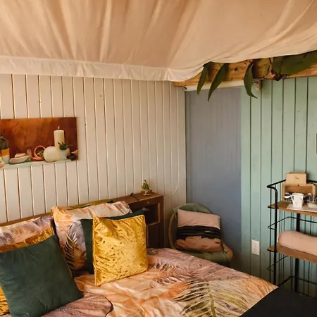 Luxury tent Luxury *